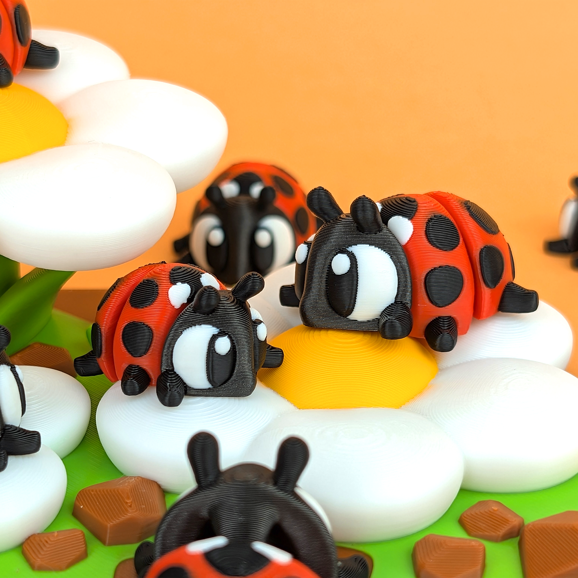 LADYBUG