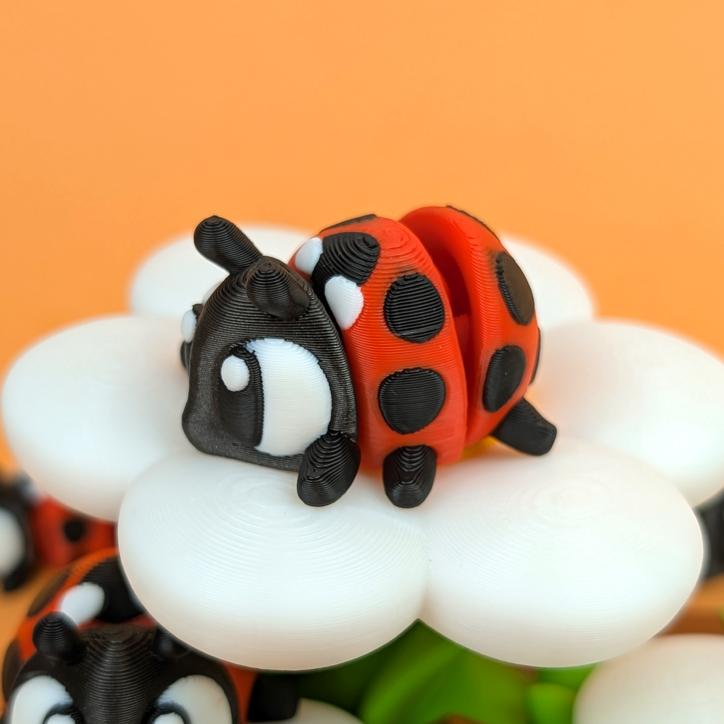 LADYBUG
